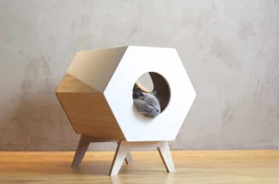 accessoire design chat