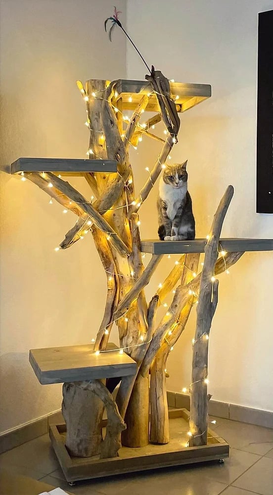 arbre a chat bois flotte guirlande lumineuse