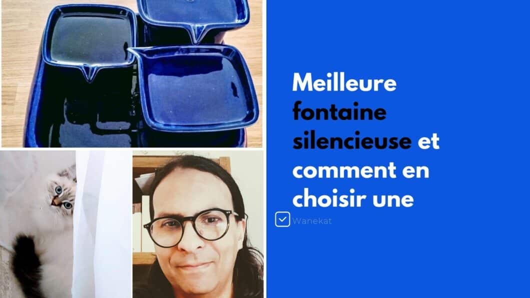 comparatif fontaine chat silencieuse