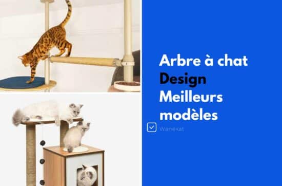 arbre a chat design meilleurs modeles