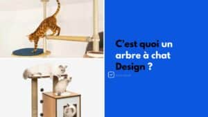 c'est quoi un arbre a chat design