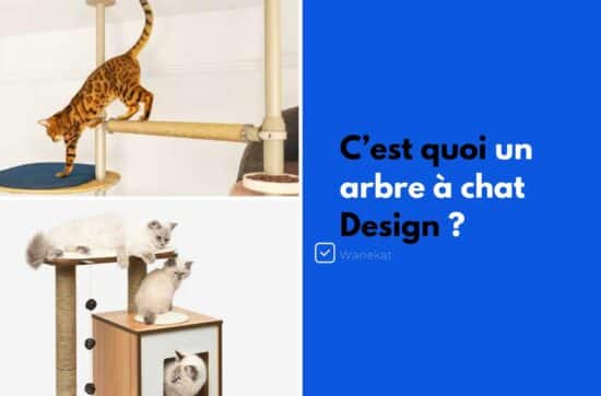 c'est quoi un arbre a chat design