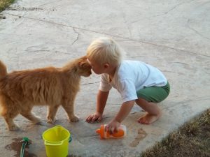chat face enfant