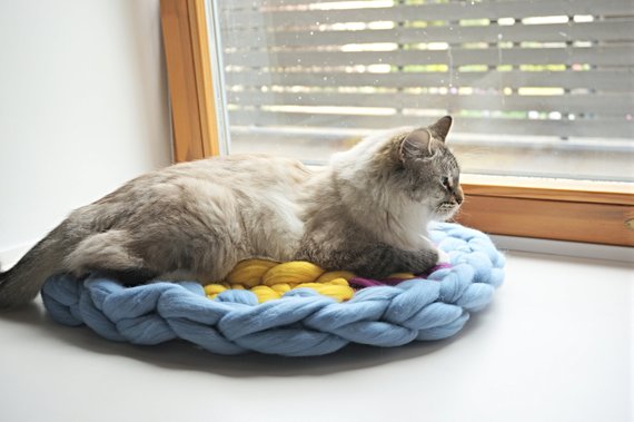 coussin chat multicolore plat