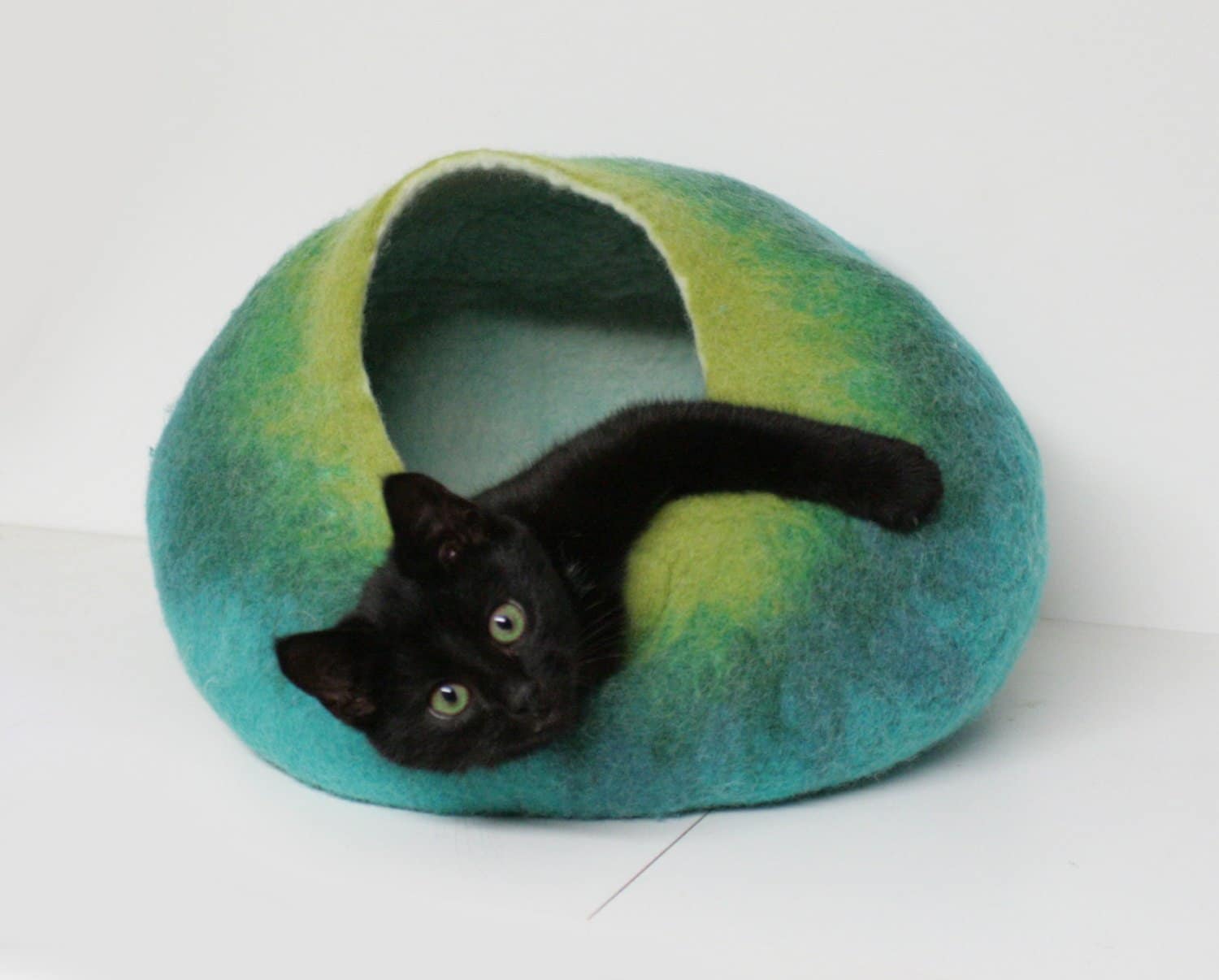 grotte chat bleu turquoise