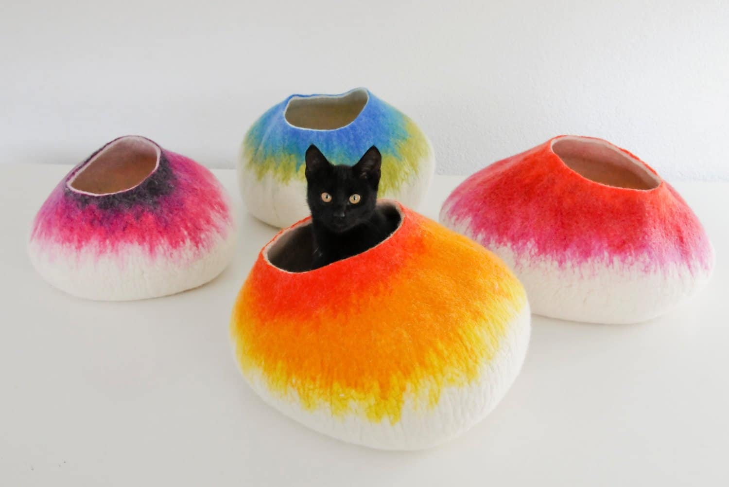 grotte chat multicouleur