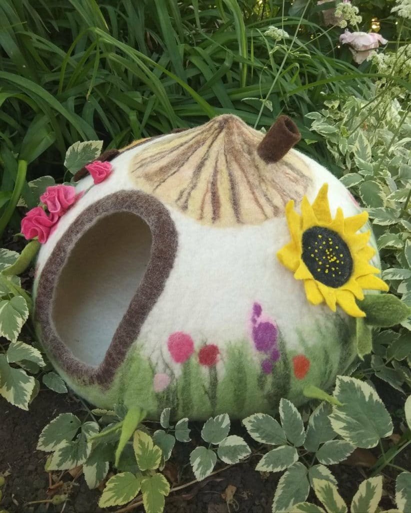 grotte chat verdure fleurs