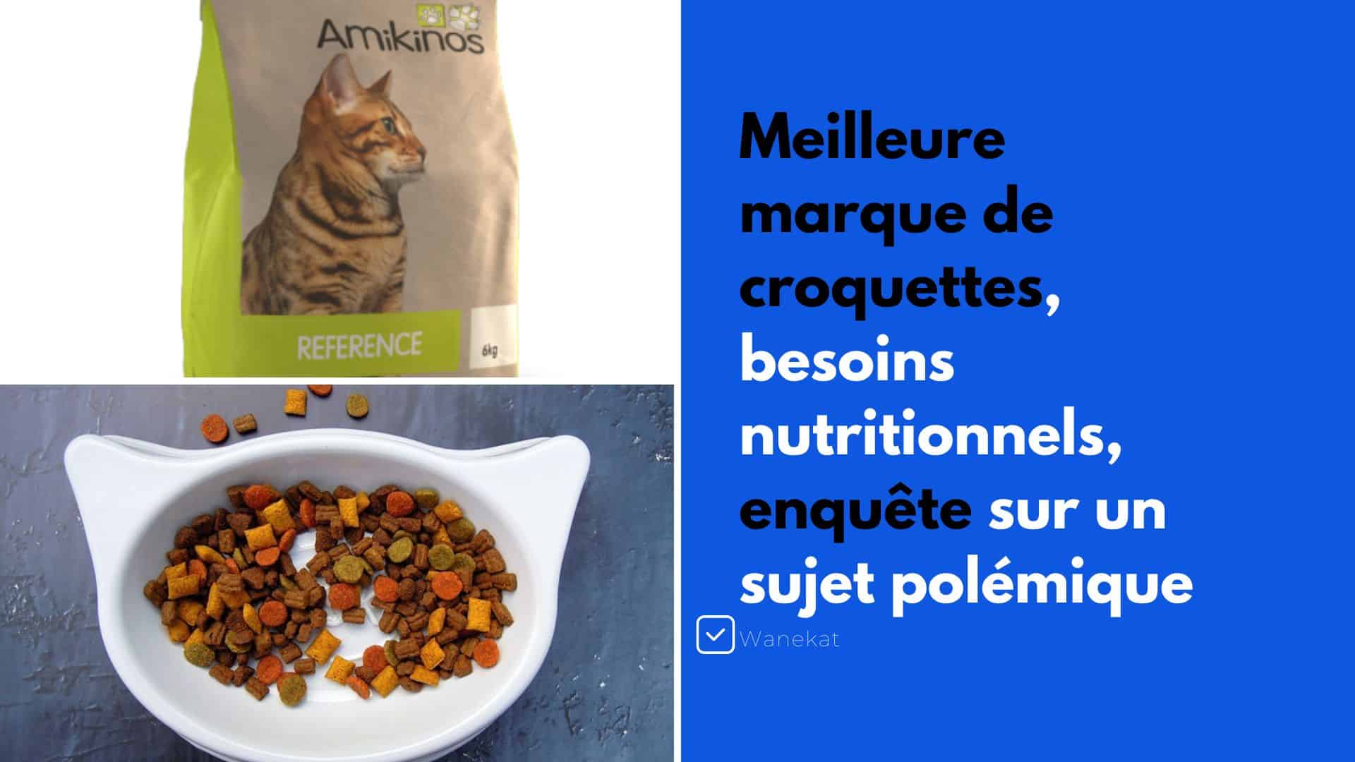 Les croquettes Friskies sont-elles bonnes pour mon chat ? - Le Guide du Chat