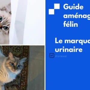 guide marquage urinaire chat