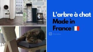 arbre a chat français
