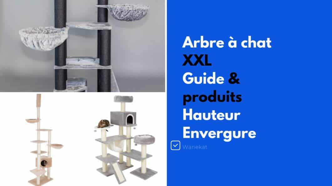 arbre a chat XXL guide et modeles