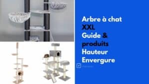 arbre a chat XXL guide et modeles