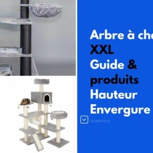 arbre a chat XXL guide et modeles