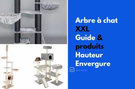 arbre a chat XXL guide et modeles