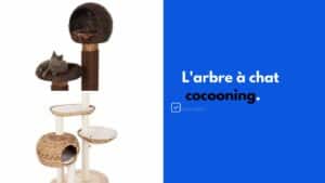 arbre a chat cocooning