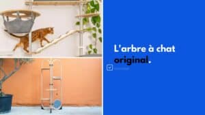 arbre a chat forme originale