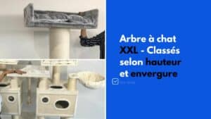 meilleur arbre a chat xxl