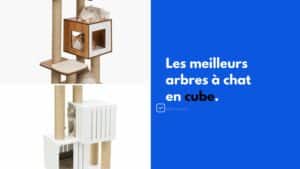 arbre a chat cube