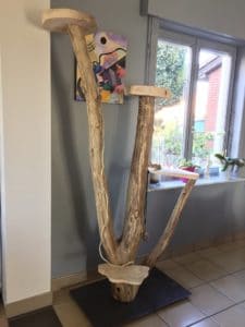 vrai arbre bois branche