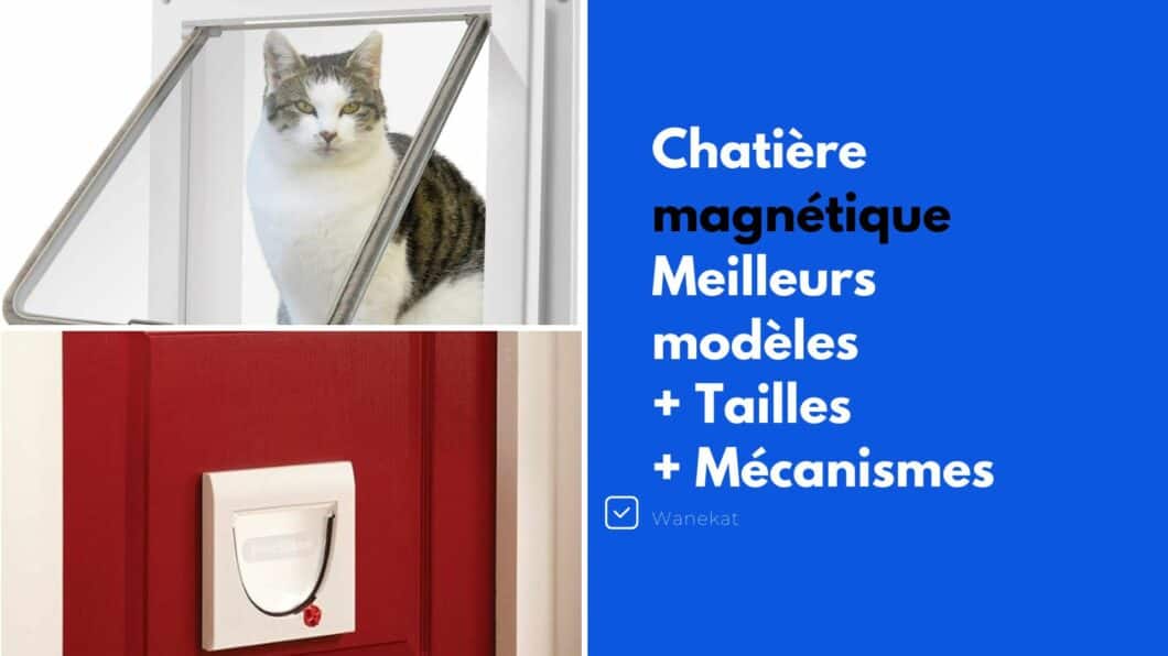 chatiere magnetique