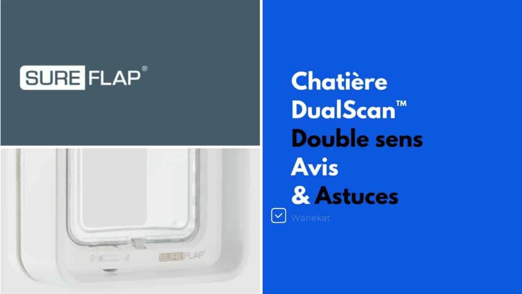 chatiere double sens dualscan