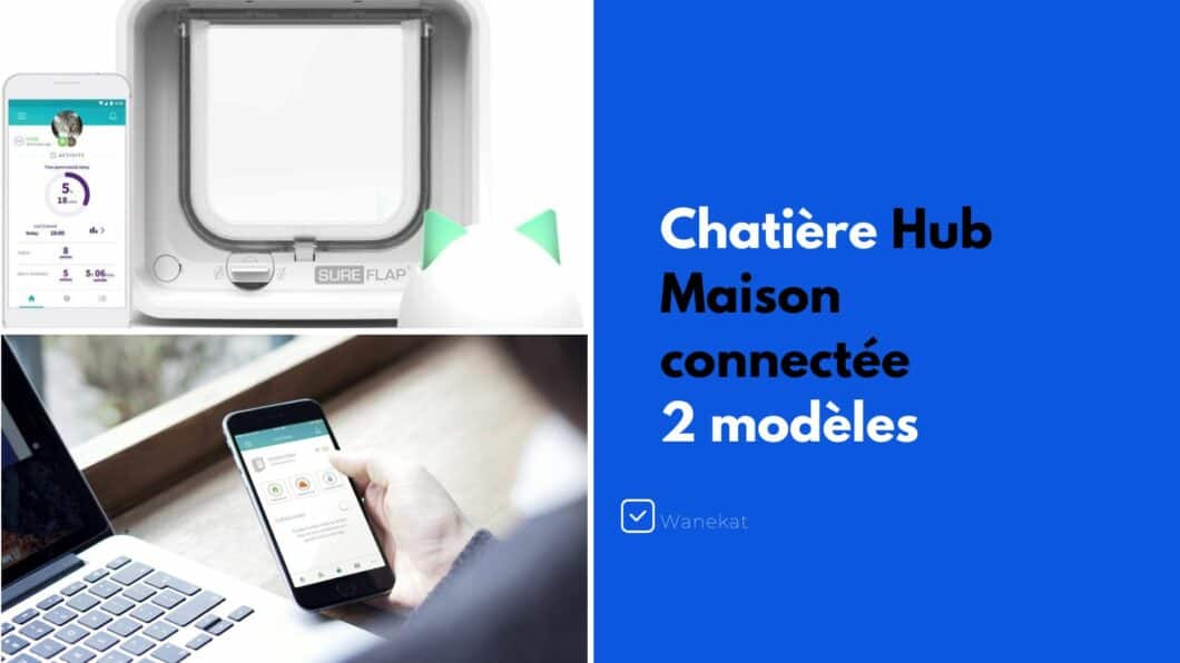 chatiere grand modele et double sens maison connectee avis