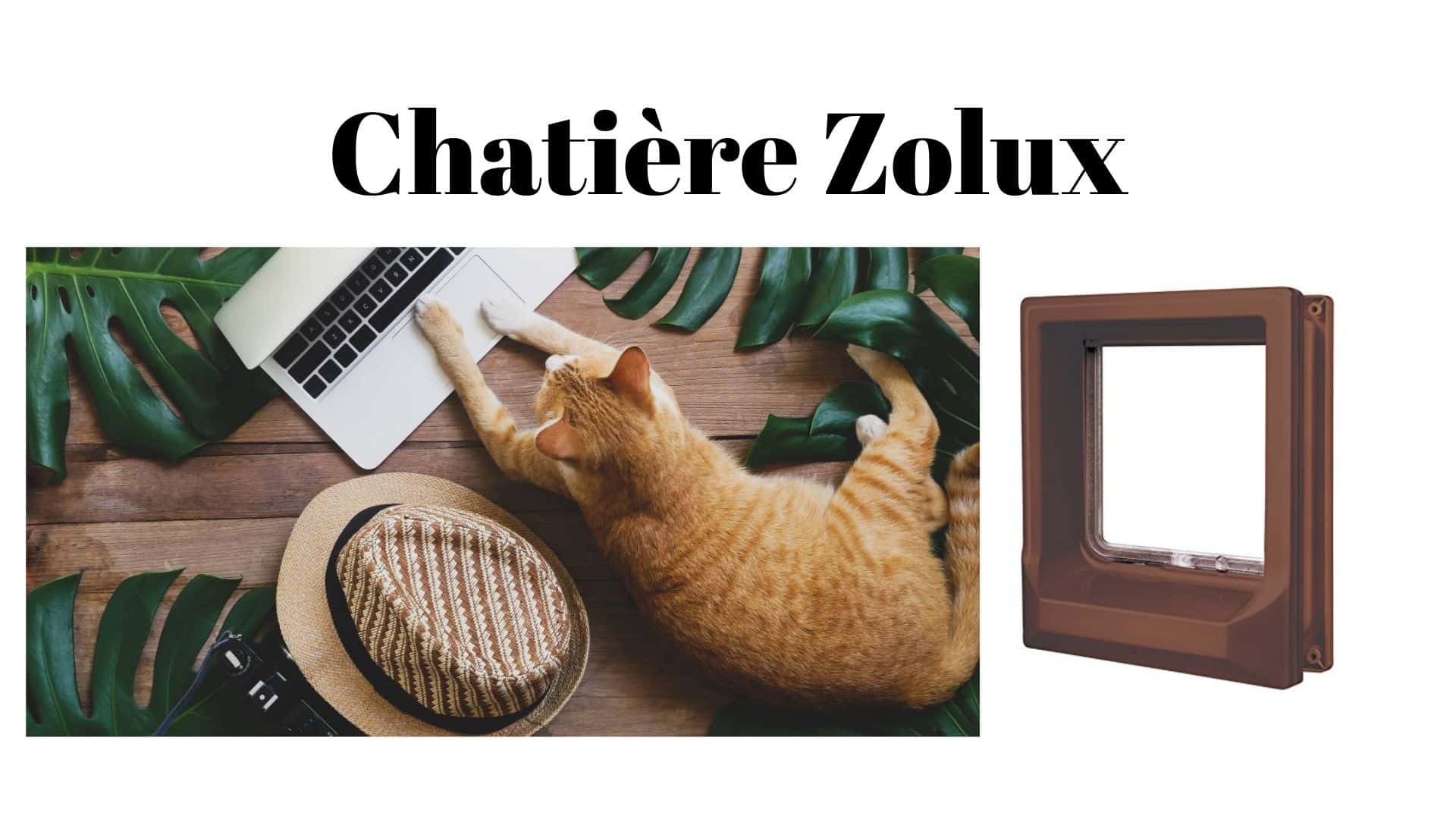 Zolux Lalternance De La Chatière Magnétique à Découvrir