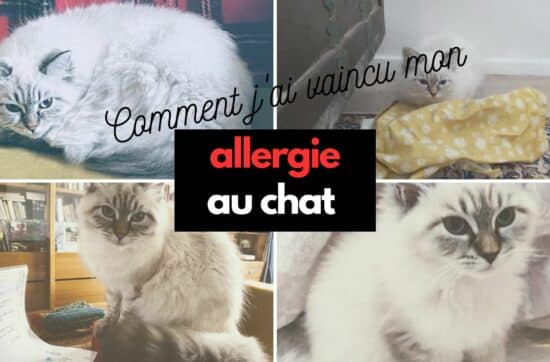 comment vaincre son allergie au chat
