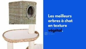 meilleur arbre a chat en tissu vegetal