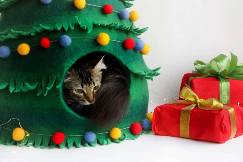 chat sapin cadeau