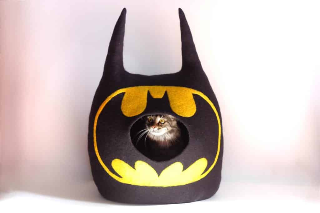 grotte chat batman