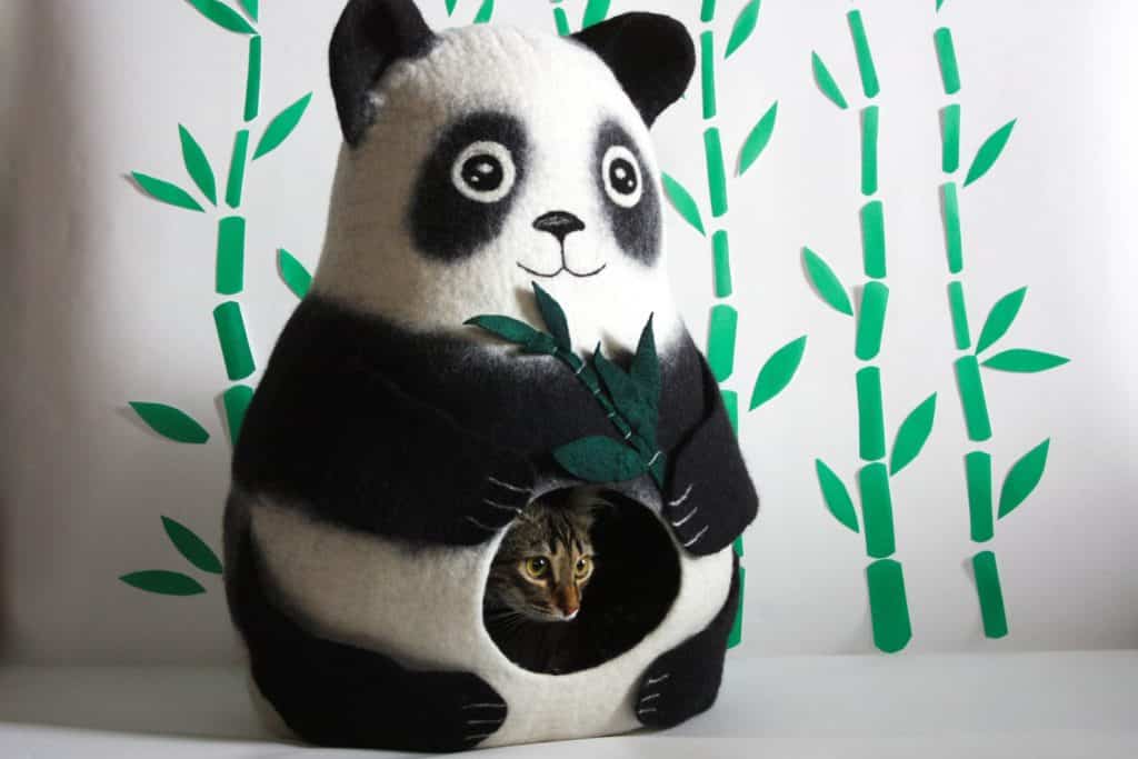 grotte chat panda