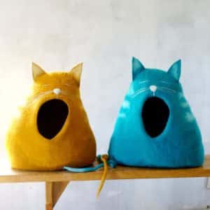 grotte chat qui baille