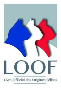 label loof chat
