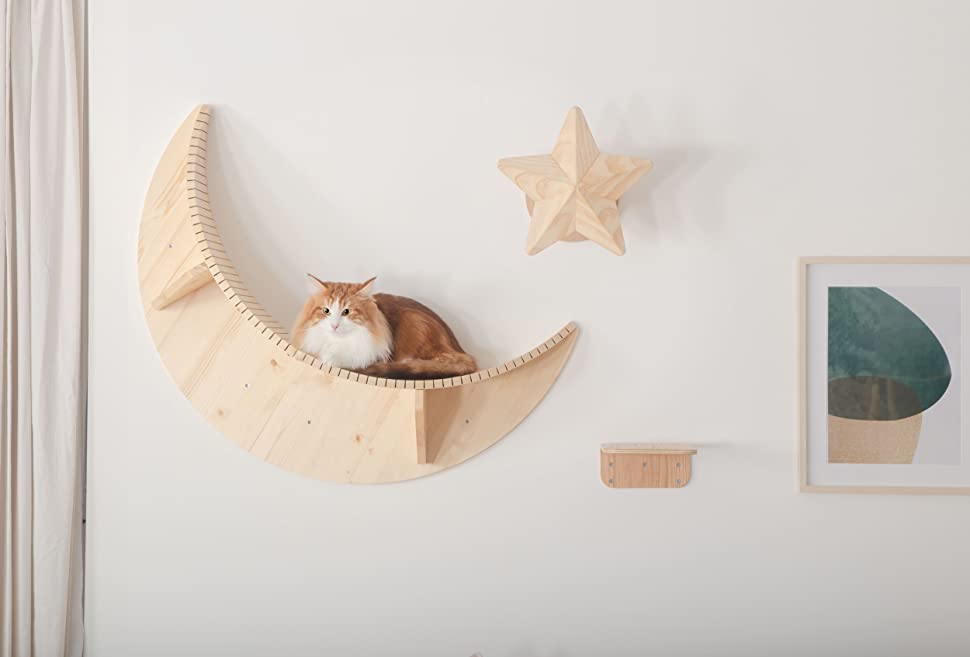 objet design pour chat