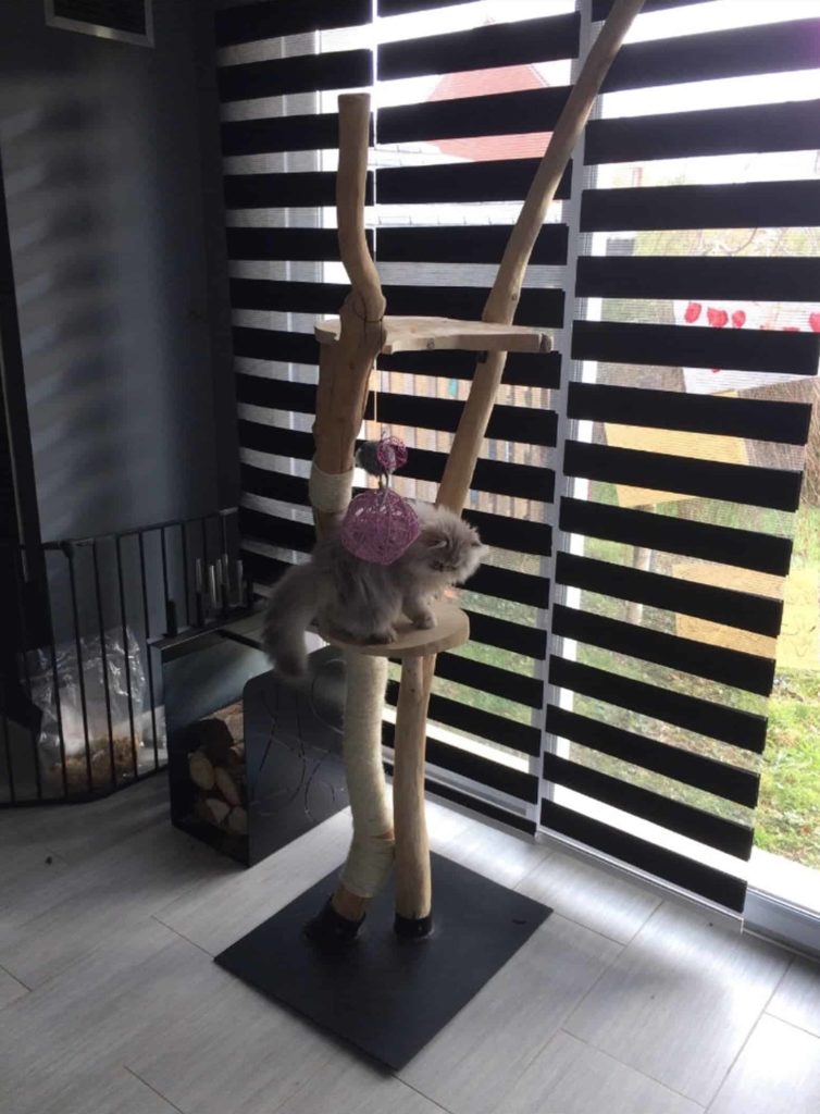 arbre-a-chat-original-deux-troncs