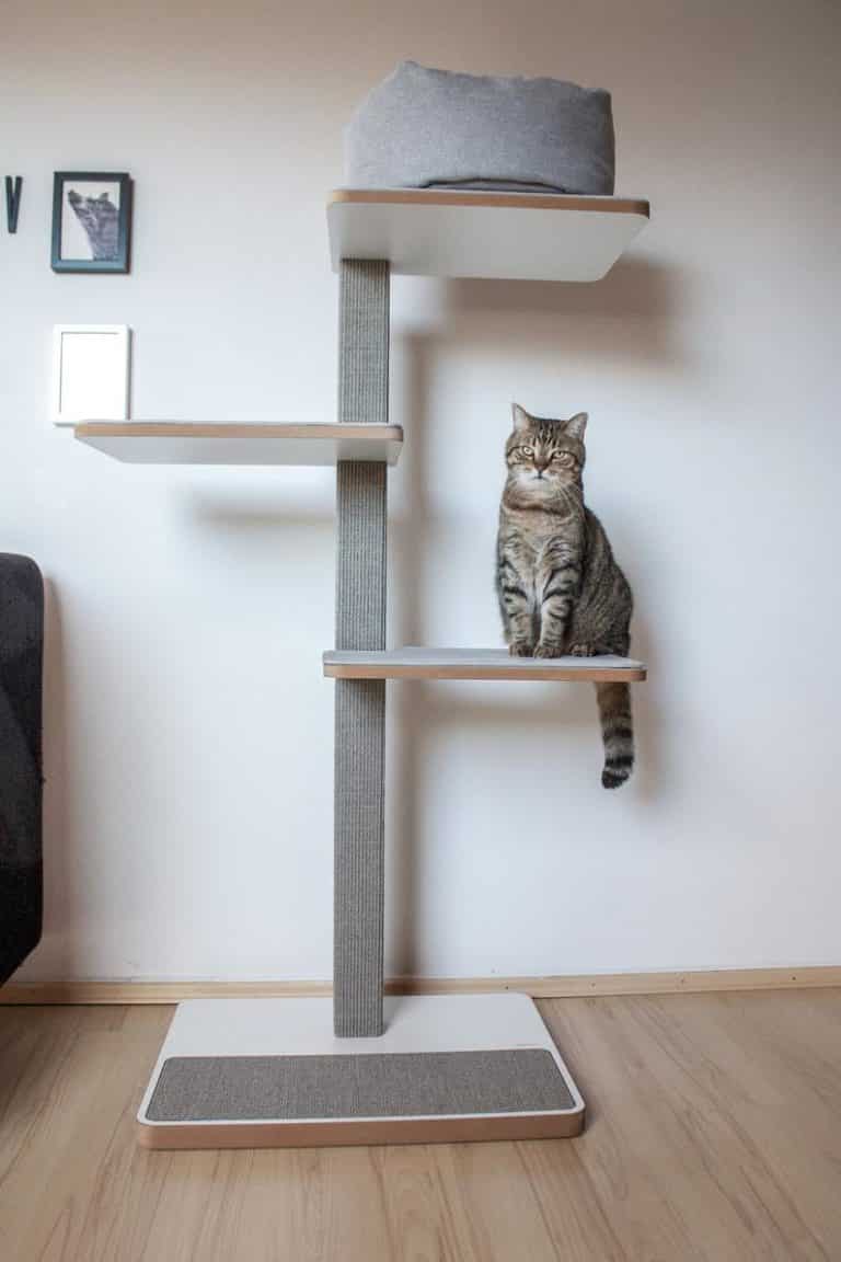 Arbre à chat design de luxe : 5 allures de prestige