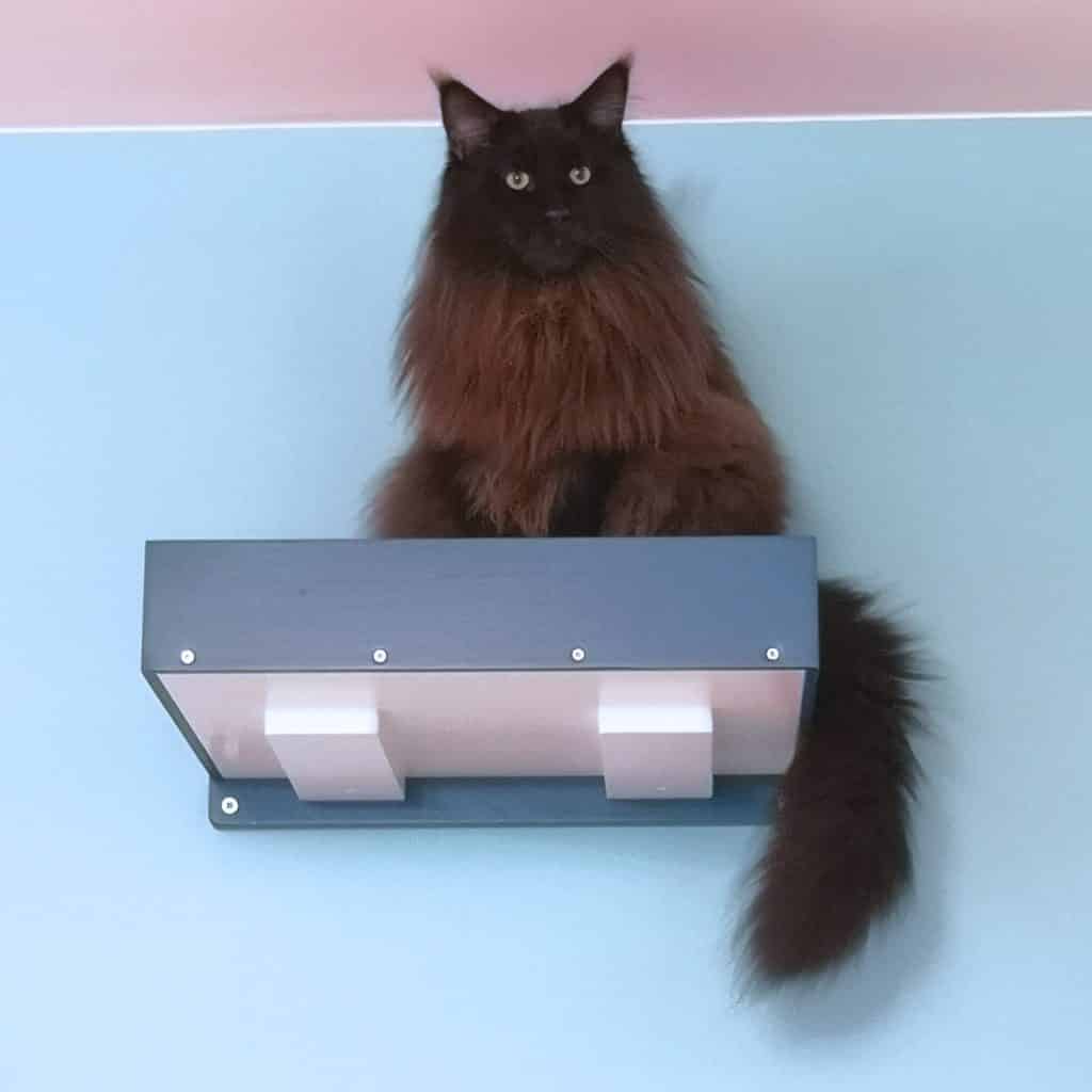 arbre a chat mural design plateforme carre