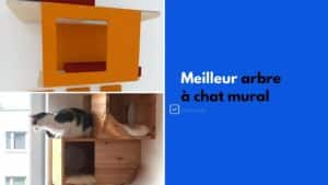 arbre a chat mural meilleurs modeles