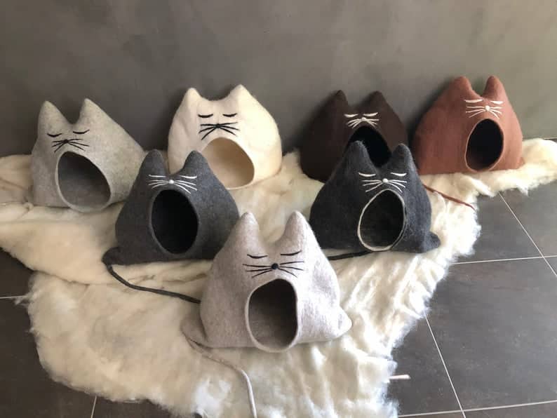 grotte chat moustaches