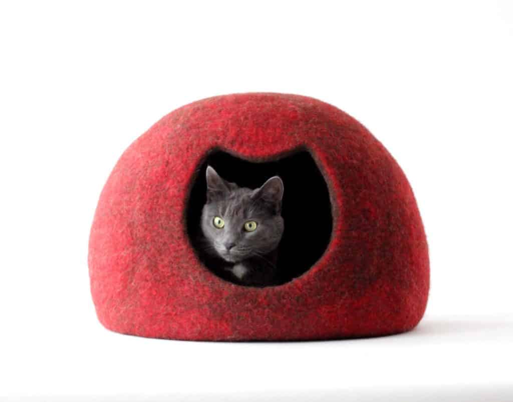 grotte chat rouge agnesfelt