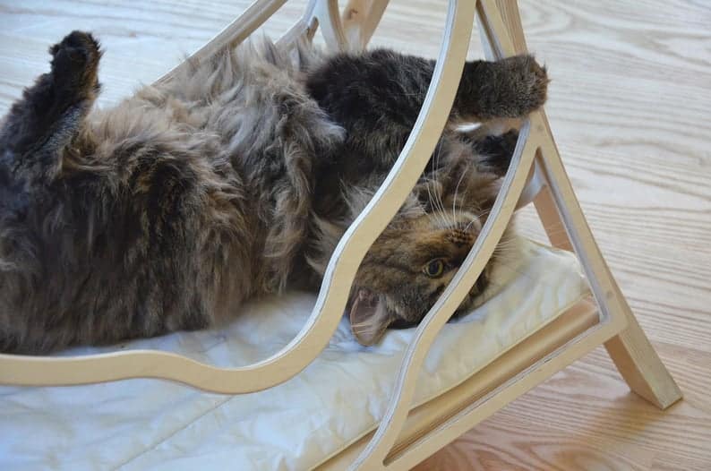 lit de chat aux parois décomposés