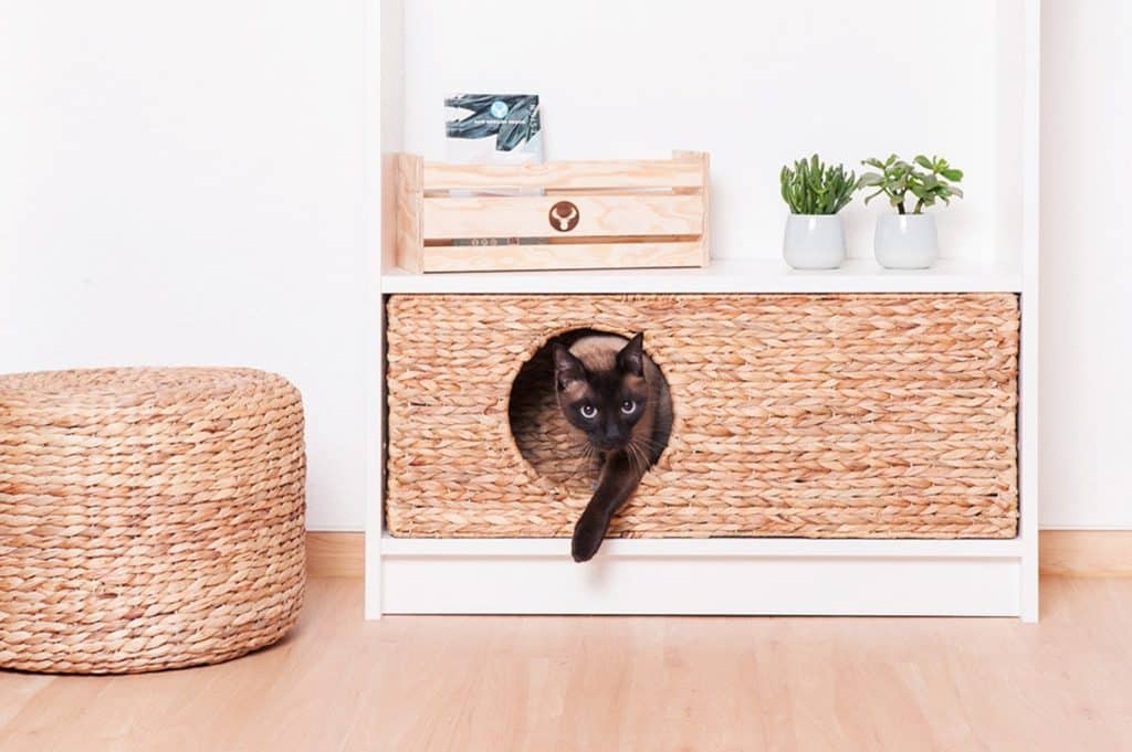 panier design pour chat a integrer