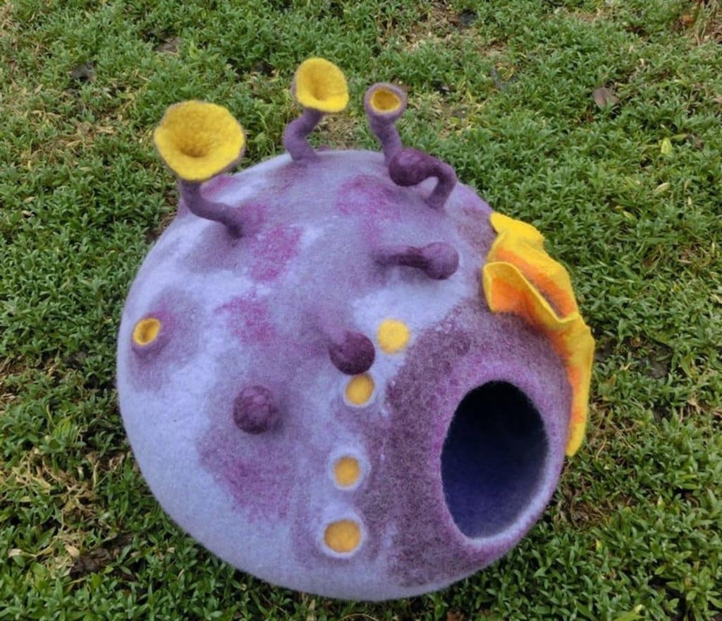 parsemant la grotte de champignons et de couleurs