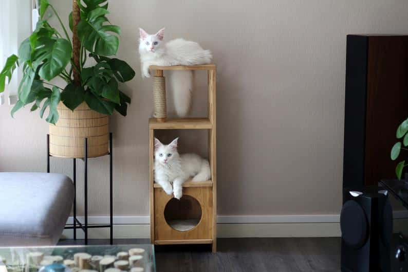arbre a chat francais bois lamelle