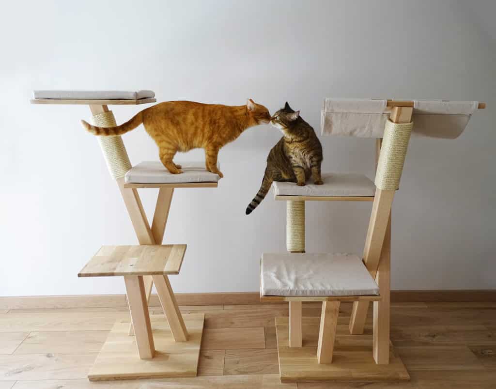 Arbre A Chat Scandinave 9 Allures Aux Formes Deroutantes