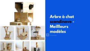 arbre a chat scandinave style et meilleurs modeles