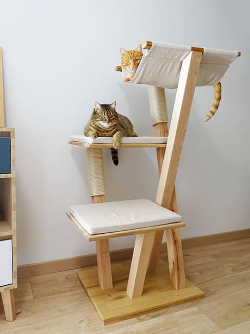 boutique chat perche