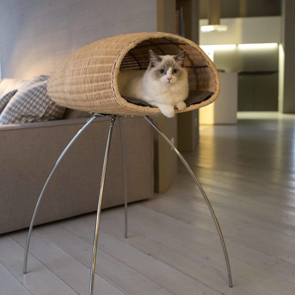 longs pieds de support finesse des lignes