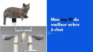 arbre a chat top 10